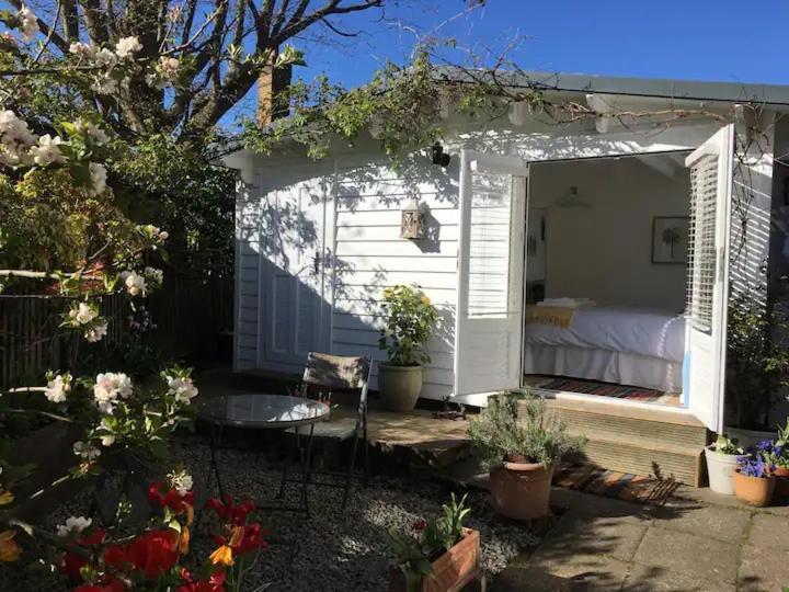 Garden Studio 克兰布鲁克 外观 照片